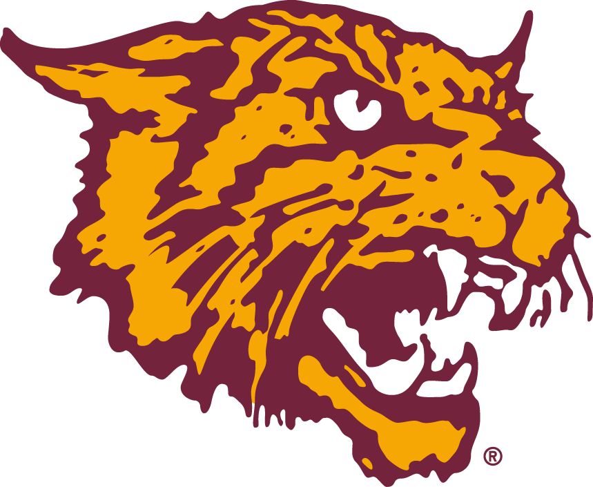 Bethune-Cookman Wildcats 2000-2015 Alternate Logo v3 t shirts iron on transfers